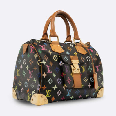 LOUIS VUITTON SPEEDY 30 MULTICOLOR CANVAS