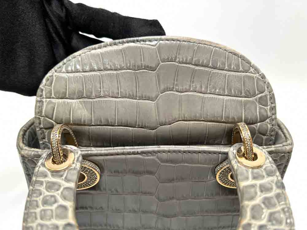 CHRISTIANDIOR-LADYDIOR-MINI-GRAY-ALLIGATOR-IMG_3341_jpg.jpg