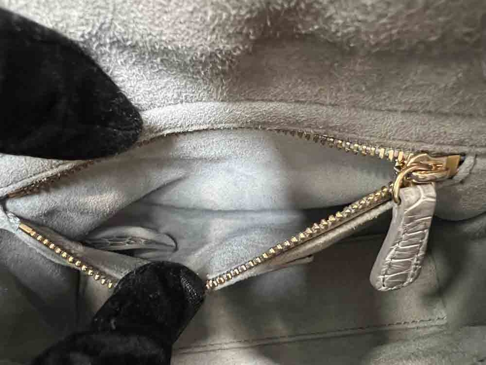 CHRISTIANDIOR-LADYDIOR-MINI-GRAY-ALLIGATOR-IMG_3352_jpg.jpg