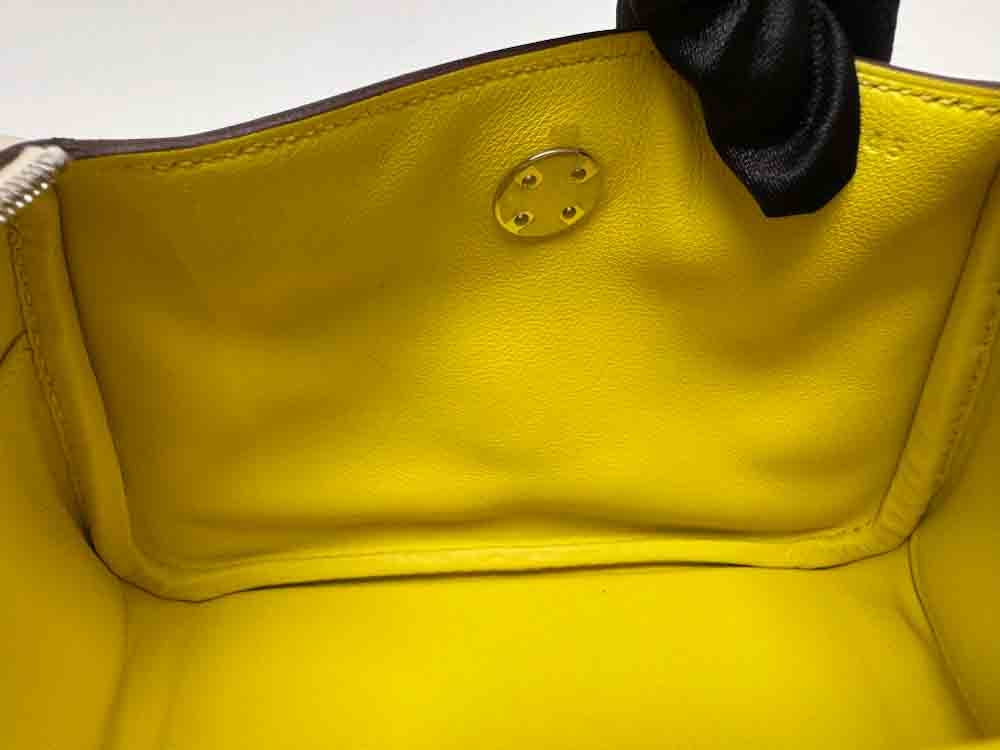 HERMES-LINDY-MINI-CRAIE-SWIFT-IMG_3249.jpg