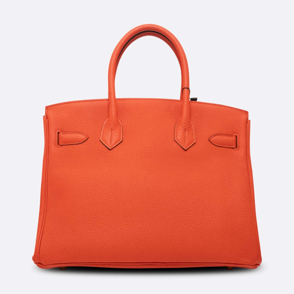 HERMES-BIRKIN-30-CAPUCINE-TOGO-7549 back.jpg