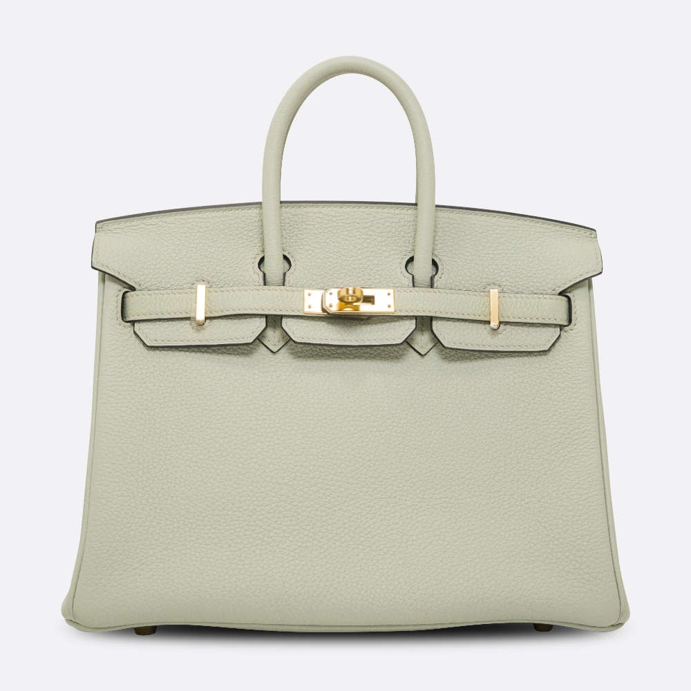HERMES-BIRKIN-25-GRISNEVE-TOGO-8339 front.jpg