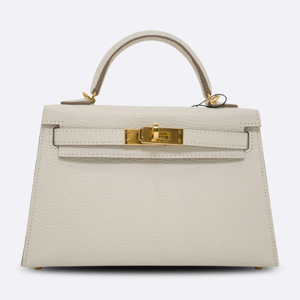 HERMES-MINIKELLY-20-MUSHROOM-CHEVRE-8317 front.jpg