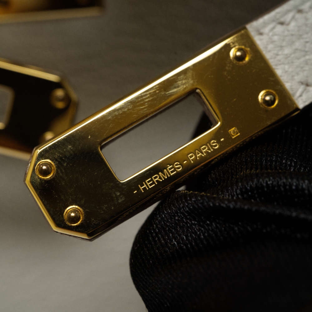 HERMES-MINIKELLY-20-MUSHROOM-CHEVRE-8317 hw2.jpg