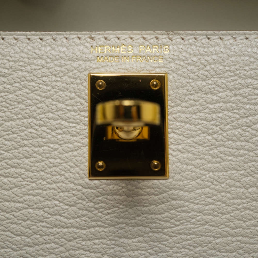 HERMES-MINIKELLY-20-MUSHROOM-CHEVRE-8317 hw3.jpg
