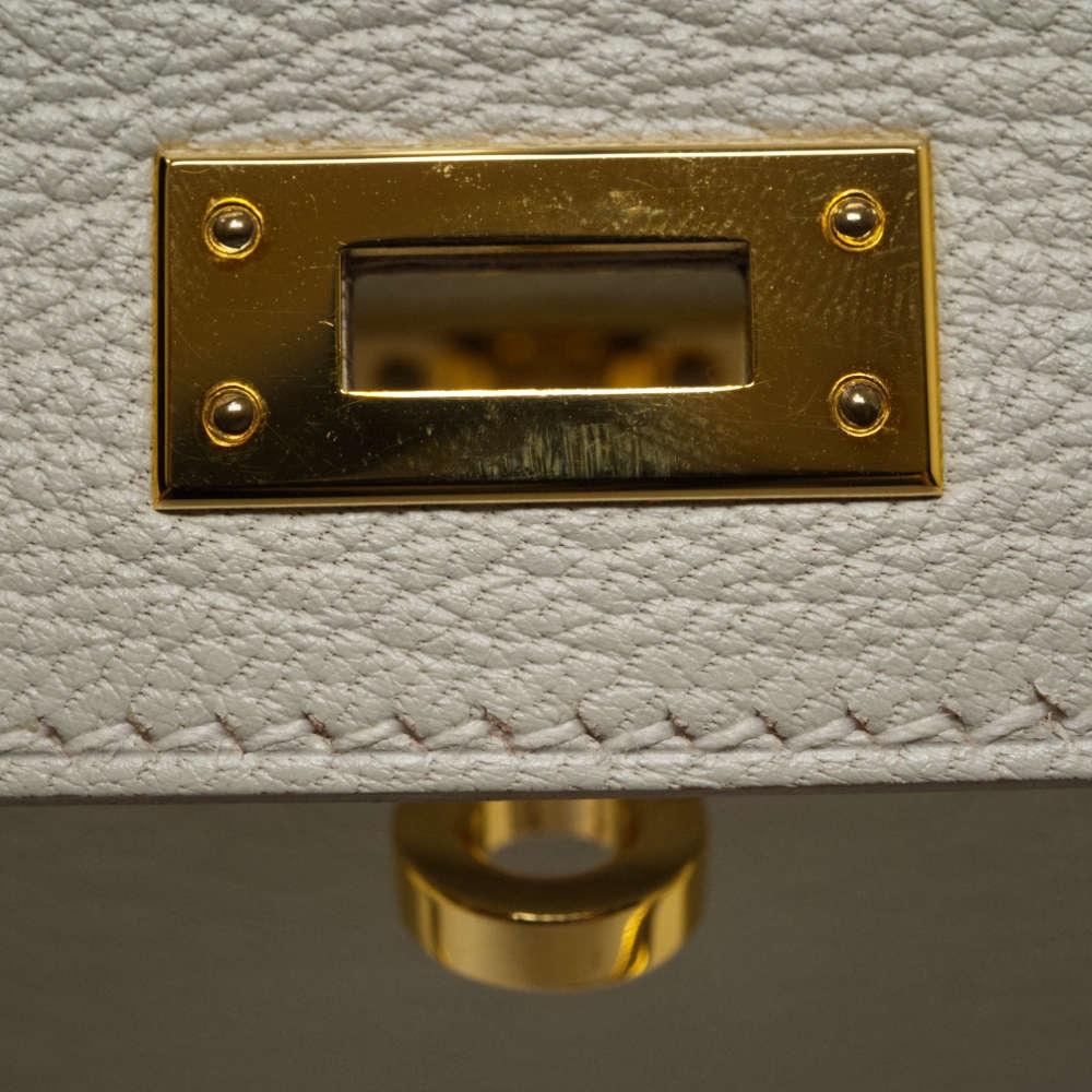 HERMES-MINIKELLY-20-MUSHROOM-CHEVRE-8317 hw4.jpg