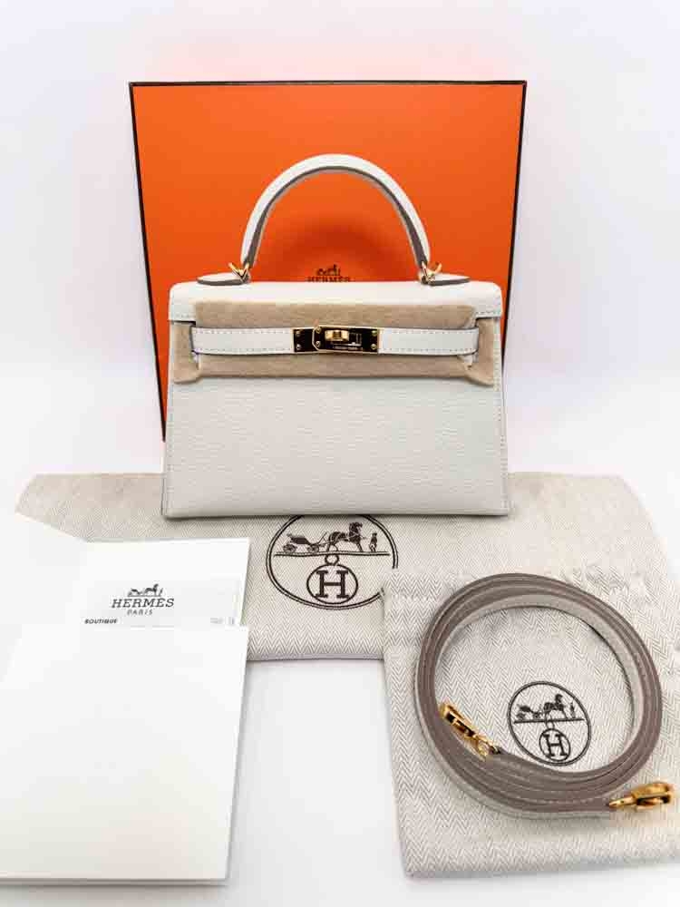 HERMES-MINIKELLY-20-MUSHROOM-CHEVREMYSORE-IMG_3119.jpg