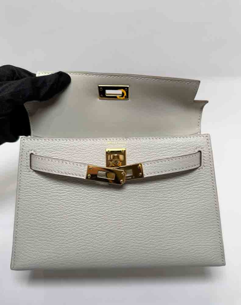 HERMES-MINIKELLY-20-MUSHROOM-CHEVREMYSORE-IMG_3161.jpg