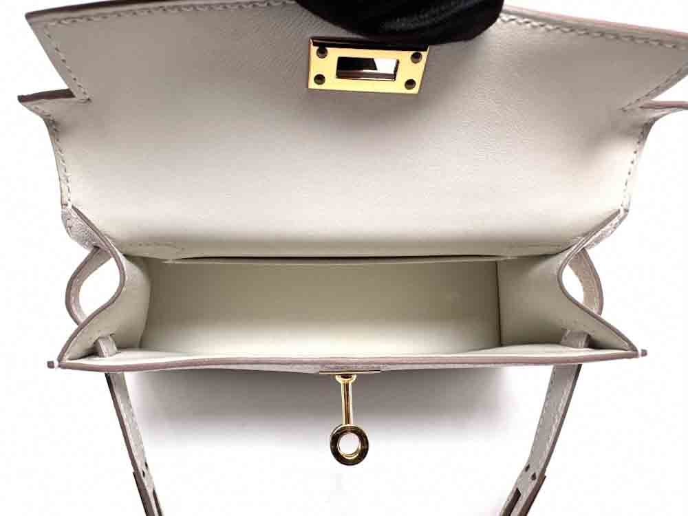 HERMES-MINIKELLY-20-MUSHROOM-CHEVREMYSORE-IMG_3169.jpg
