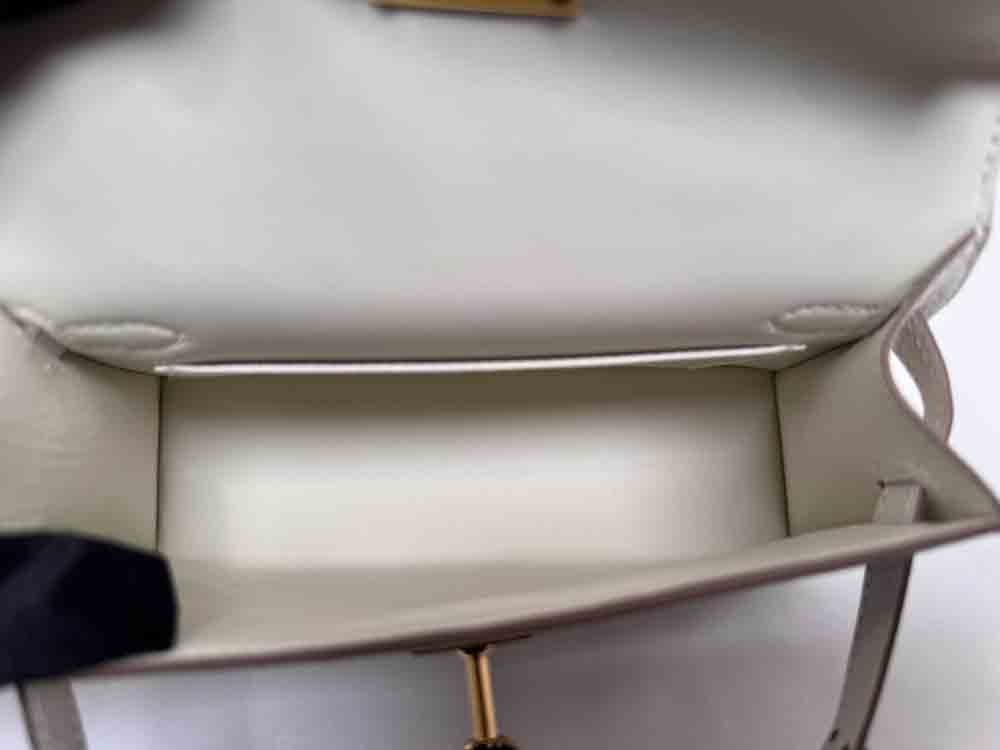 HERMES-MINIKELLY-20-MUSHROOM-CHEVREMYSORE-IMG_3174.jpg