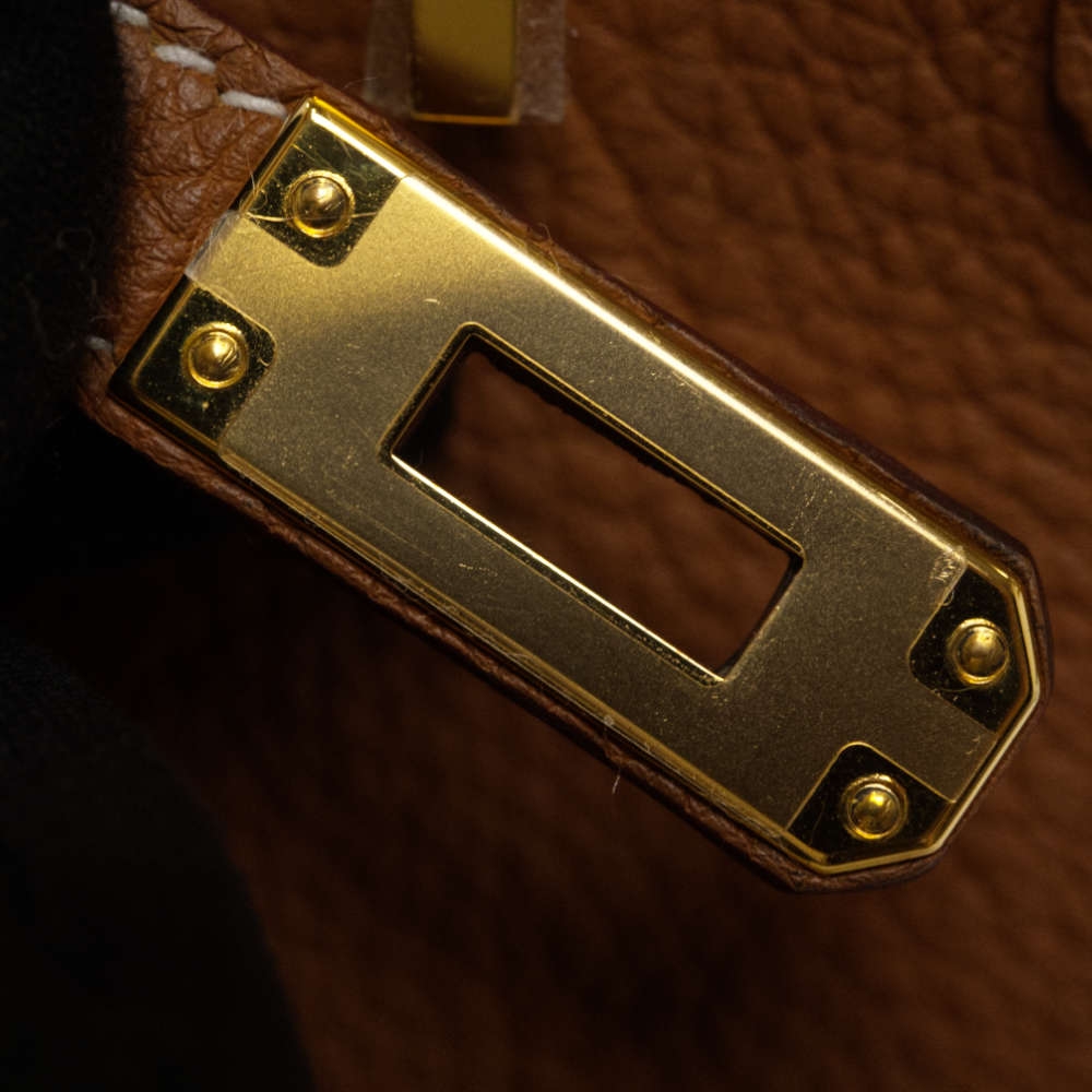 HERMES-BIRKIN-25-GOLD-TOGO-8411 hw.jpg