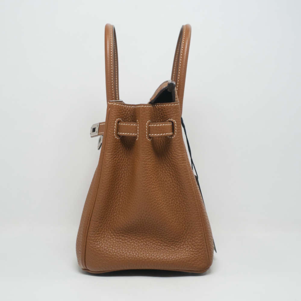 HERMES-BIRKIN-25-GOLD-TOGO-6840 side2.jpg