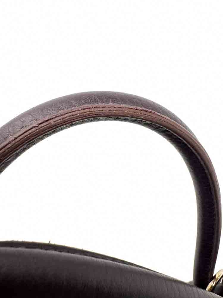 HERMES-BOLIDE-31-RAISIN-CLEMENCE-IMG_5307.jpg